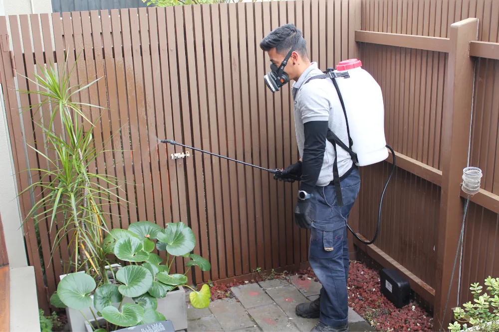 Residential Ant Pest Control Residential Ant Pest Control