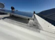Pigeon-Proofing Solar Panels vs. General Bird Proofing