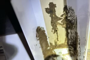 Termite Control Your First Defence